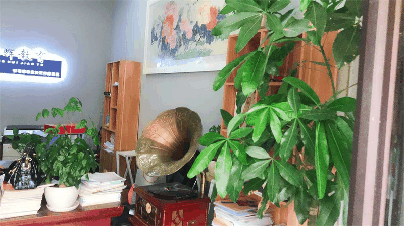 百年教育強(qiáng)勢進(jìn)駐云陽，著力打造教育培訓(xùn)事業(yè)新高地！