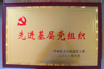 集團(tuán)黨支部回報(bào)社會(huì)，努力踐行社會(huì)責(zé)任與擔(dān)當(dāng)